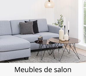 meubles de salon